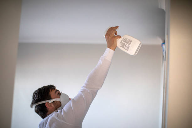 Best Mold Removal Near Me  in Greenville, PA