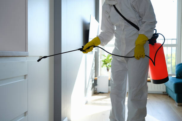 Best Local Mold Removal Service  in Greenville, PA